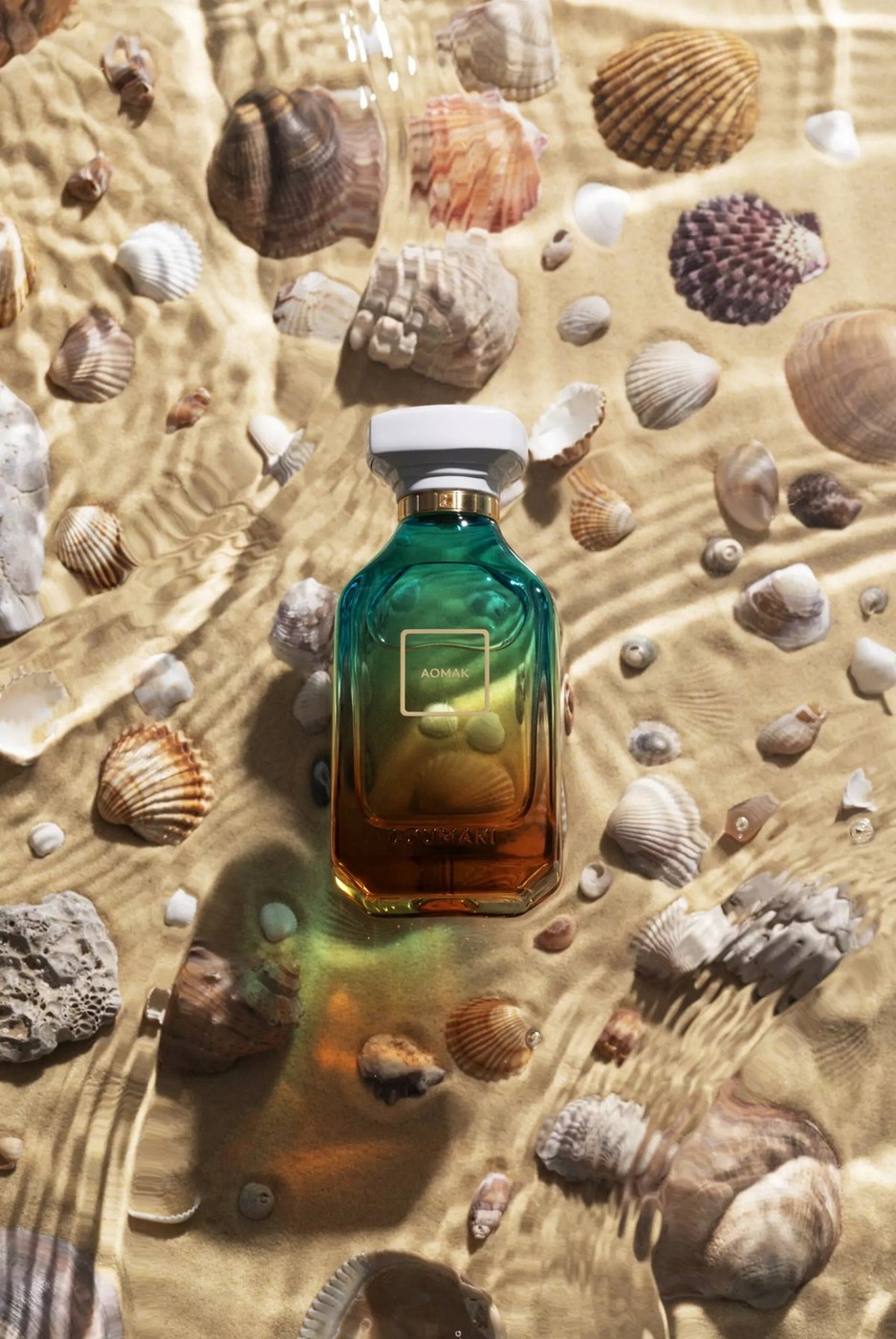 AOMAK — vue supplémentaire
