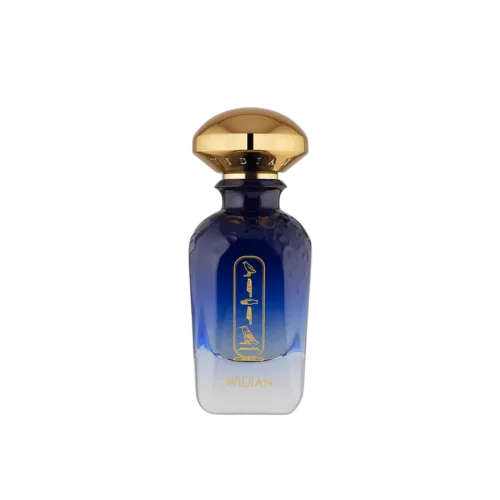 Aswan, WIDIAN